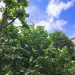 Charming Guesthouse 7Min From Eiffel Tower