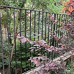 Charming Guesthouse 7Min From Eiffel Tower