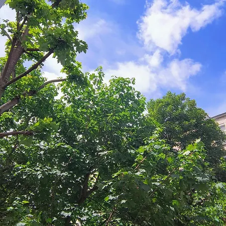 Alloggio in famiglia Charming Guesthouse 7Min From Eiffel Tower Parigi