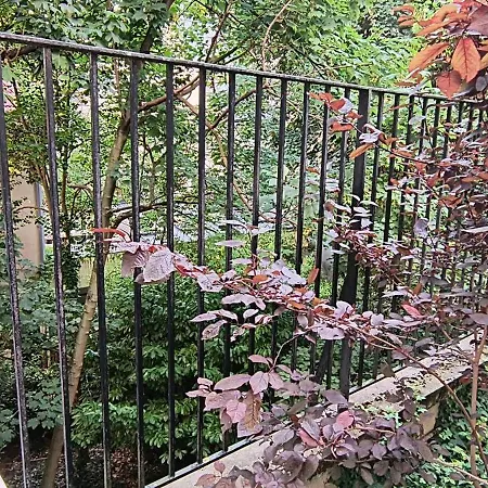 Charming Guesthouse 7Min From Eiffel Tower Homestay Paris